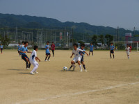 57249072_Unknown