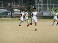 57249280_Unknown