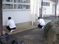 DSCF4225