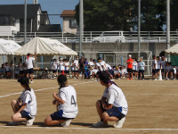 IMGP0551