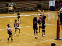 danvol_IMG_1024