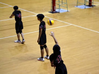 danvol_IMG_1030