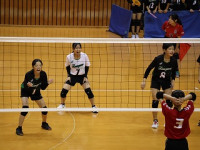 jovol_IMG_0993