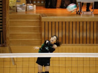 jovol_IMG_1013