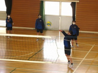 JOVOL_IMG_8557