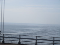 60186240_Unknown