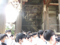 60188528_Unknown