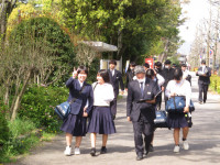 60294064_Unknown