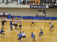 61168720_Unknown
