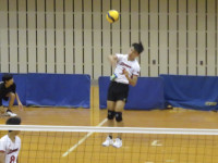 61168960_Unknown