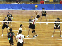 61454944_Unknown