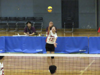 61455936_Unknown