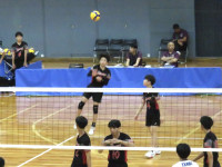 61456960_Unknown