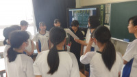 IMGP2370