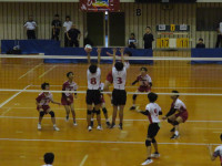 57567040_Unknown