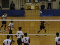 57568016_Unknown