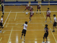 57568528_Unknown
