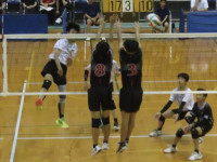 57946832_Unknown