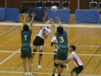 57953312_Unknown
