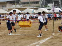 IMGP0190