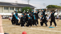 IMGP0166