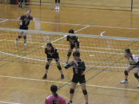 60571456_Unknown