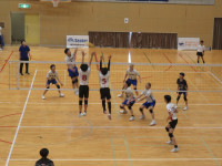 51700720_Unknown