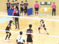51701840_Unknown