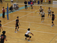 51702864_Unknown