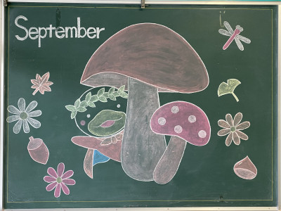 ９月かもも