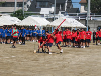 IMG_8500