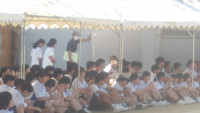 IMGP2630