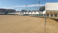 IMGP2670